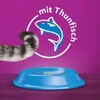 Whiskas Adult 1+ Trockenfutter mit Thunfisch im Karton, Produktbild-Vorschau 7