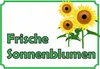 Sonnenblumen Verkaufsschild Hofladen Verkaufsförderung A5 Produktbild-Vorschau 1