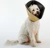 Comfy Cone Kraag Zwart Extra Extra Large / 36.5cm Productafbeelding-voorbeeld 12