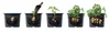 Kartoffelpflanzmaschine Prosperplast POTATO GROWER 29,5 cm Produktbild-Vorschau 6