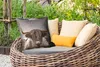 MuchoWow® Outdoor Kissen - Schottisches Hochlandrind - Gold Produktbild-Vorschau 3