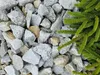 Großer Zierkies Granit 31,5 - 63 mm – 500 kg (25x20 kg) Produktbild-Vorschau 2