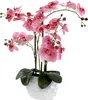 Kunst-Pflanze Orchidee ovaler Topf weiß hochglanz und rosa Produktbild-Vorschau 1