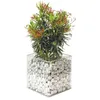 Gabione Pflanzkübel eckig : 49 x 49 x 39 cm Produktbild-Vorschau 4