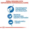 Royal Canin Indoor Long Hair, Dorosły, Kukurydza, Ryż, 2 kg Podgląd zdjęcia produktu 3