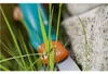 Gardena, forbici per erba orientabili, Comfort Anteprima dell’immagine prodotto 17