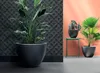 Fioriera elegante con superficie liscia e base conica Anteprima dell’immagine prodotto 2