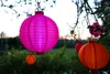 Several colorful paper lanterns are hanging from tree branches in an outdoor setting at dusk. Podgląd zdjęcia produktu