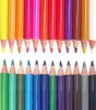 PAPER MATE Buntstifte Kids Colouring Bunt 24er M Blister Produktbild-Vorschau 4