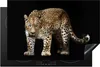 KitchenYeah© Herdabdeckplatte Leopard - Wild - Schwarz , Produktbild-Vorschau 1