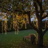 A tree decorated with warm white LED string lights in a garden at dusk, with a bench in the foreground. Podgląd zdjęcia produktu