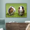 MuchoWow® - Leinwandbilder - Zwei Meerschweinchen, Produktbild-Vorschau 4