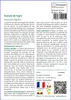 SAFLAX  - Gueule de tigre - 40 graines - Faucaria Voir les images du produit 3
