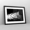 Gerahmtes Poster - Schwarzer Rahmen - Weiß Tiger Schwarz Produktbild-Vorschau 8