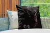 MuchoWow® Outdoor Kissen - Panther - Tier - Schwarz - 60x60 Produktbild-Vorschau 3