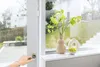 Bosch Smart Home    Tür-Fenster- kontakt II, einzeln, weiß Produktbild-Vorschau 15