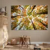 MuchoWow® Poster Wald - Bäume - Herbst 180x120 cm - Produktbild-Vorschau 6