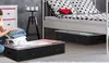 EDIBAZZAR | Grande borsa organizer solida sotto il letto Anteprima dell’immagine prodotto 16