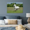 MuchoWow® Poster Pferde - Natur - Weiß 90x60 cm - Produktbild-Vorschau 5