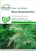 Artikelbild 1 von 'Moso Riesenbambus' aus der Kategorie Exotische Samen Podgląd zdjęcia produktu