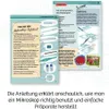 Kosmos Entdecker-Mikroskop, Mikroskop, Biologie, 8 Jahr(e), Produktbild-Vorschau 9