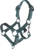 HKM Kids Halfter und Strick Hobby Horsing Basic Türkis Produktbild-Vorschau 3