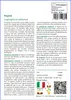 SAFLAX  - Peyote - 20 semi - Con substrato - Lophophora Anteprima dell’immagine prodotto 3