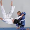 DANRHO Judoanzug Yamanashi mit Schulterstreifen in blau Produktbild-Vorschau 2