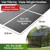 BRAST Doppelstegplatten Hohlkammerplatten 6mm | Produktbild-Vorschau 3