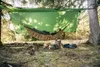 AMAZONAS Traveller Tarp XXL, Raincover, Grün, Polyester, Produktbild-Vorschau 7