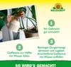 Neudorff  - Azet GrünpflanzenDünger 250 ml für 50L Produktbild-Vorschau 5