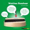 Novaliv Saalbesen Naturhaar 50 cm I Besen mit Stiel Produktbild-Vorschau 6