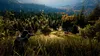 Hunting Simulator 2 (PS5) - Jagdspiel der Markenklasse Produktbild-Vorschau 8