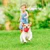 Hundespielzeug, Hüpfball Hund, Interaktives Hundespielzeug, Produktbild-Vorschau 4