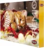 TRIXIE PREMIO Adventskalender für Katzen, 24,5 × 37 × 3,5 Náhľad obrázku produktu 3
