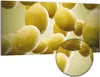 DEQORI Hybrid Leinwand Bild 100x50 cm 'Frische Produktbild-Vorschau 1