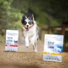 Raw Paleo Ultra Turkey Medium & Large Puppy 10kg Podgląd zdjęcia produktu 4