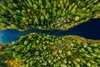 Muralo XXL Selbstklebende FOTOTAPETE Fluss BaeUME Aussicht Produktbild-Vorschau 2
