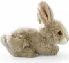 Carl Dick Hase sitzend beige, ca. 17cm 2755001 Kuscheltier, Produktbild-Vorschau 3