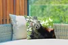 MuchoWow® Outdoor Kissen - Roter Panda - Baum - Grün - Produktbild-Vorschau 3