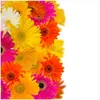 Wallario Wandbild aus Acryl, 50 x 50 cm, freischwebende Produktbild-Vorschau 1