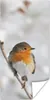 MuchoWow® Poster Vogel - Rotkehlchen - Winter 60x120 cm - Produktbild-Vorschau 1