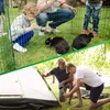 GardenGloss® Anti-Rost Erdanker aus Stahl für Extrem Harten Produktbild-Vorschau 4