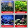 Aquarium Thermometer, Mini Aquarium Thermometer Digital – Produktbild-Vorschau 4