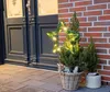LED Stern mit Erdspieß - 35 cm - mit künstlicher Tanne Produktbild-Vorschau 2