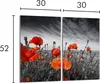 A diptych image of red poppies in a black and white field under a cloudy sky, with dimensions indicated. Produktbild-Vorschau
