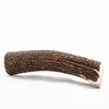 RF - CERVO Corna di cervo XL 121-160g, 17-19cm (1 pezzo) Anteprima dell’immagine prodotto 14