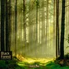 Foresta Nera Anteprima dell’immagine prodotto 2