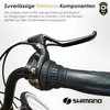 Dallas Bike Fahrrad - Damenfahrrad 28 Zoll - Shimano 7-Gang Produktbild-Vorschau 4