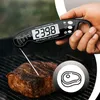 A person is holding a digital thermometer and inserting it into a piece of meat on a grill. Anteprima dell’immagine prodotto